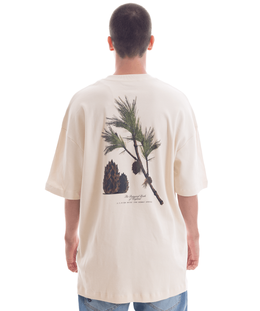 Camiseta Wide Pinho